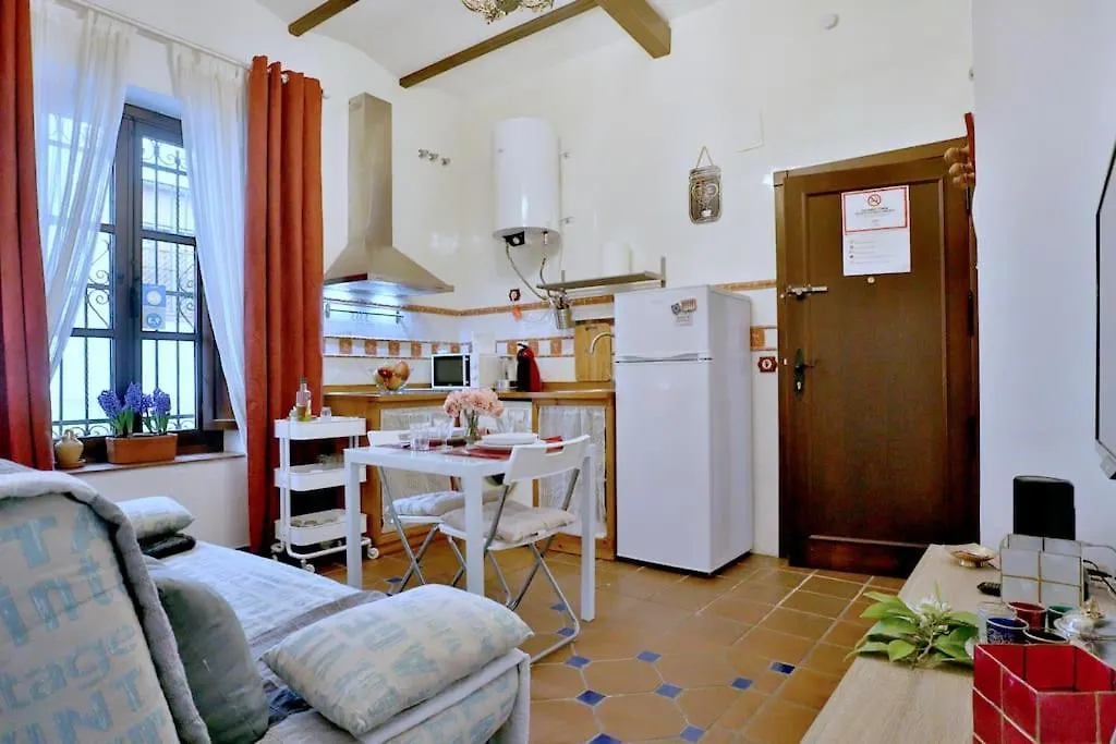 Horno24, Alojamiento Con Patio Andaluz, Tipico De Cordoba Spain