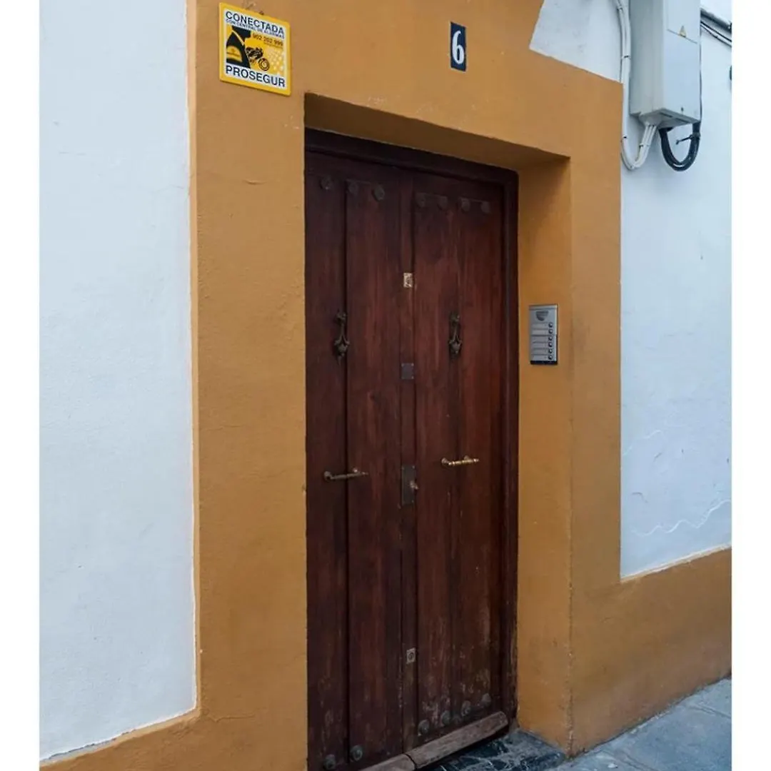 Horno24, Alojamiento Con Patio Andaluz, Tipico De Cordoba